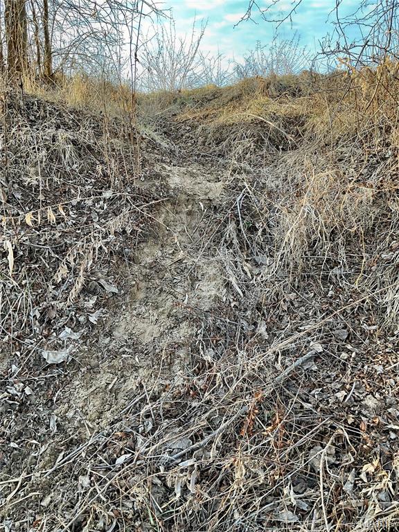 0 Buck Creek Road Greentop, MO 63546 - Photo 17 of 20