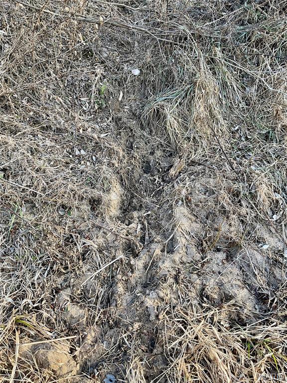 0 Buck Creek Road Greentop, MO 63546 - Photo 18 of 20