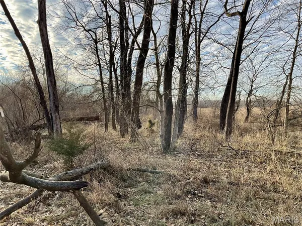 $223,900 | 0 Buck Creek Road, Greentop, MO 63546