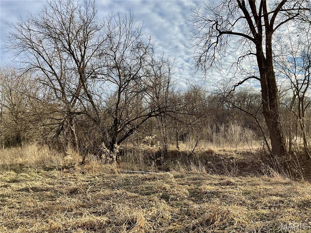 0 Buck Creek Road Greentop, MO 63546 - Photo 4 of 20