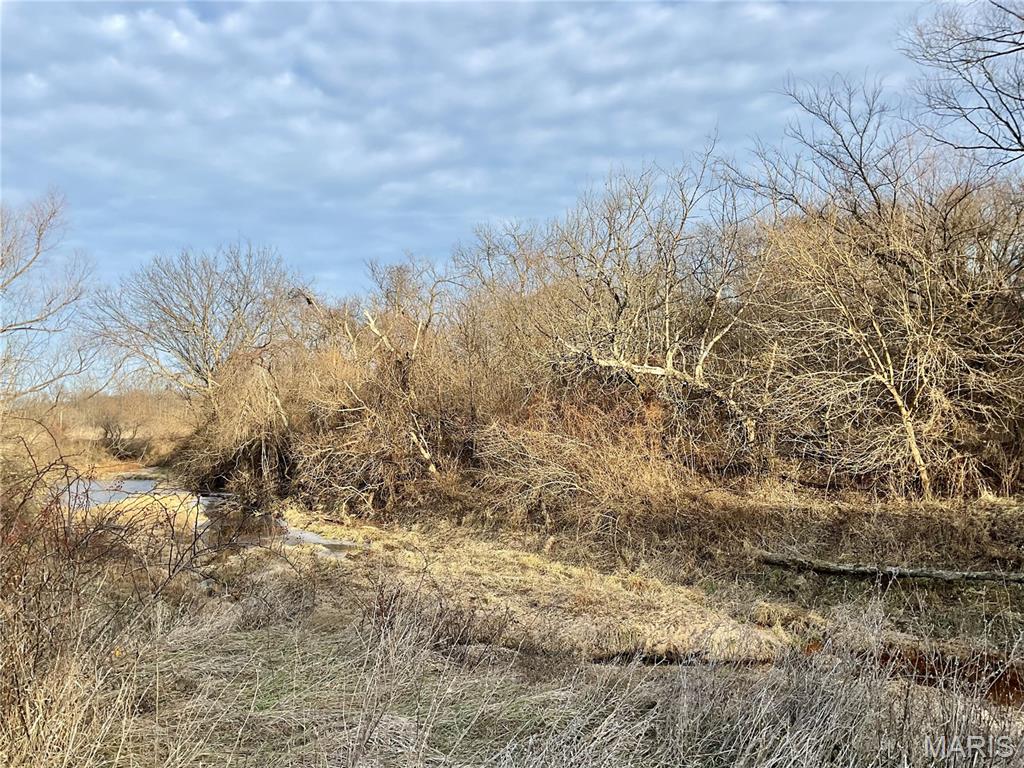 0 Buck Creek Road Greentop, MO 63546 - Photo 5 of 20