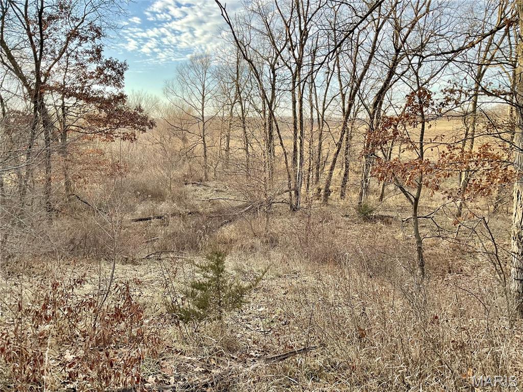 0 Buck Creek Road Greentop, MO 63546 - Photo 6 of 20