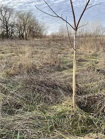 $223,900 | 0 Buck Creek Road, Greentop, MO 63546