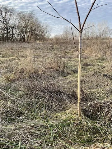 $223,900 | 0 Buck Creek Road, Greentop, MO 63546