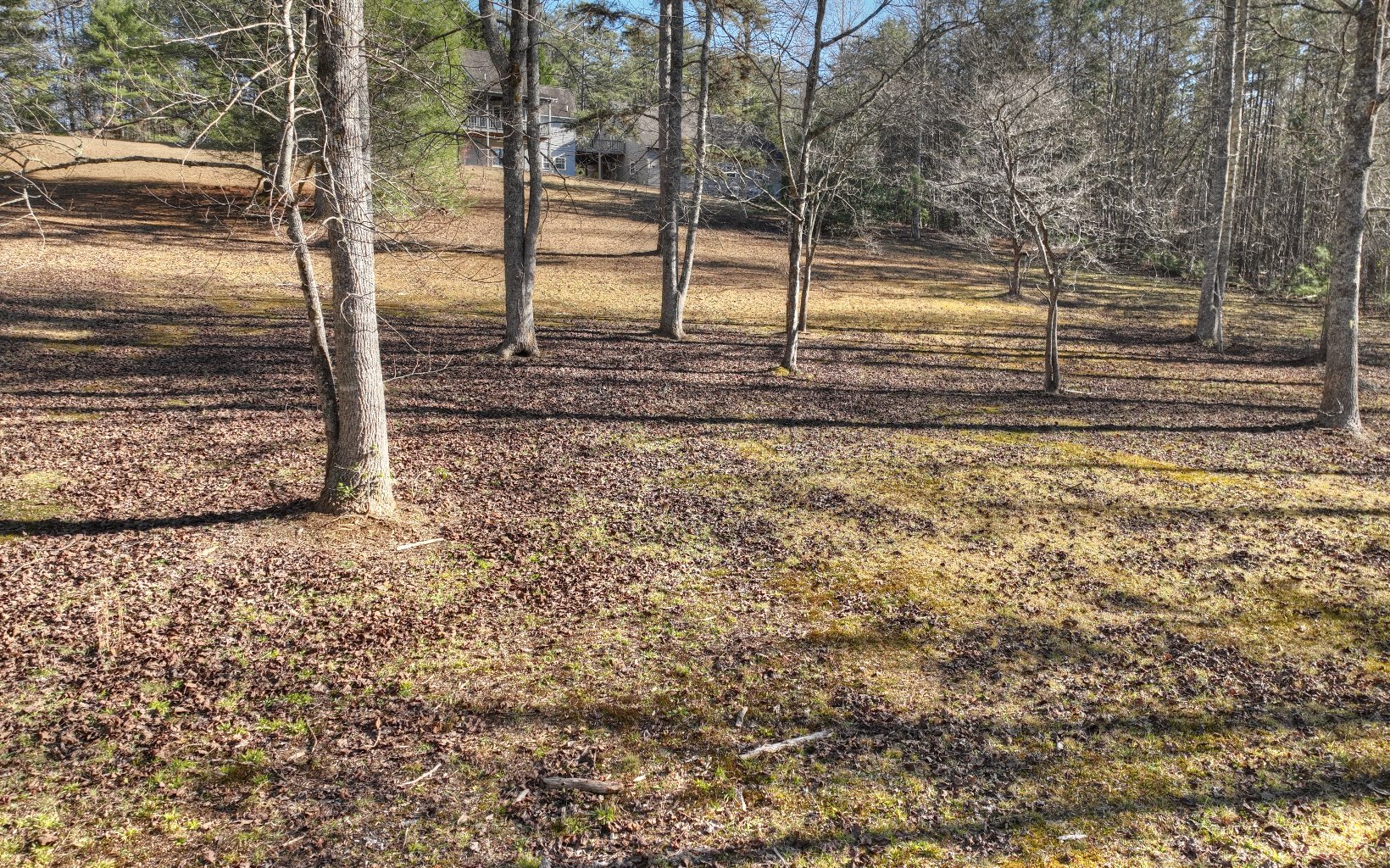 206 Cedar Valley Road Blue Ridge, GA 30513 - Photo 55 of 75 Additional View