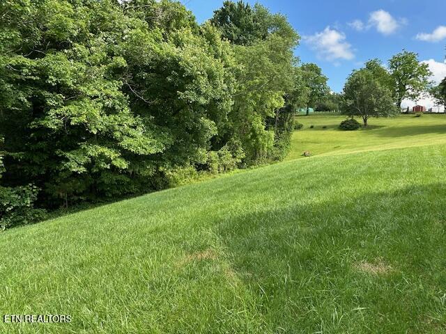 133 Coolidge Road La Follette, TN 37766 - Photo 5 of 58 image3 (1)