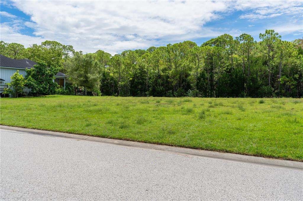 4050 Jew Fish Drive Hernando Beach, FL 34607 - Photo 3 of 16 a view of a field with an trees