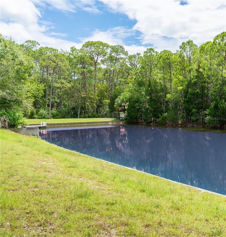 4050 Jew Fish Drive Hernando Beach, FL 34607 - Photo 9 of 16 a view of a back yard