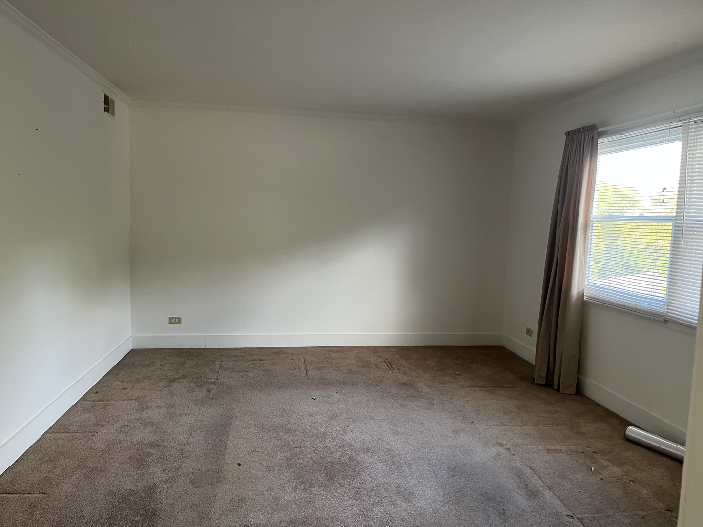 112 Chicago Road, Unit B Oswego, IL 60543 - Photo 5 of 12