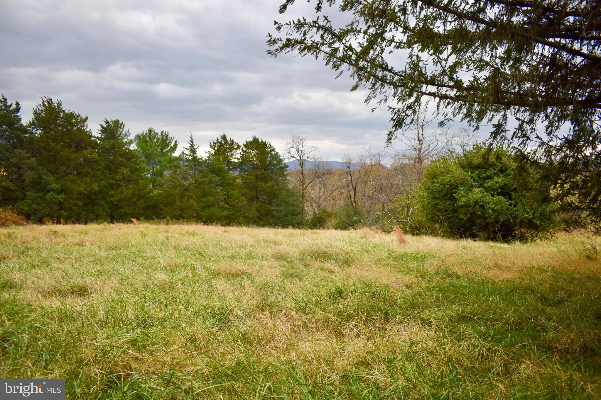 196 Good Mill Road Rileyville, VA 22650 - Photo 7 of 14 a view of beach and yard