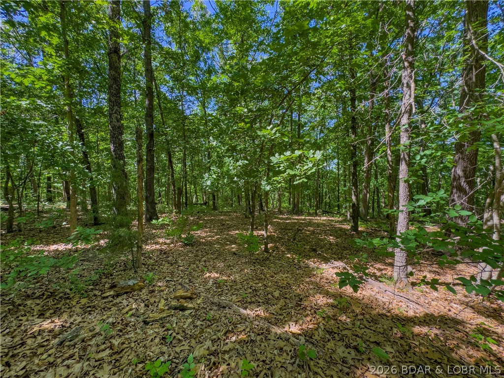 Valley Spring Road Camdenton, MO 65020 - Photo 16 of 19