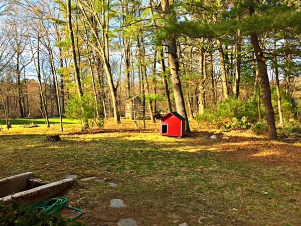 7 Pine Knoll Road Franklin, MA 02038 - Photo 8 of 20 Gallery Image 8