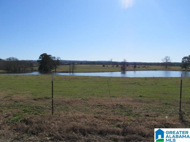 1005 Ruel Snead Road Altoona, AL 35952 - Photo 41 of 42