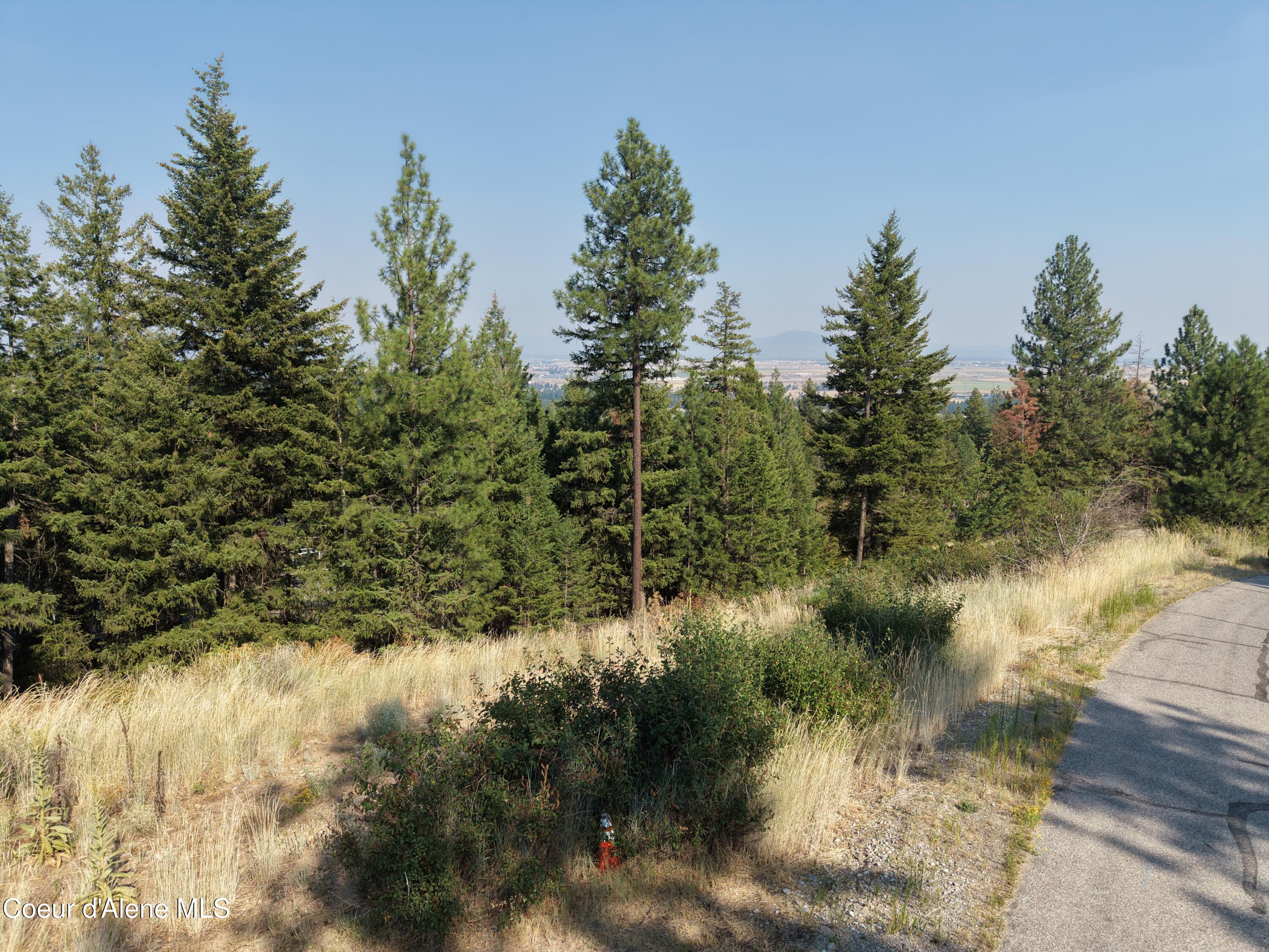 Lot 20 North Spiral Ridge Trail Rathdrum, ID 83858 - Photo 10 of 19 Lot 20 Spiral Ridge