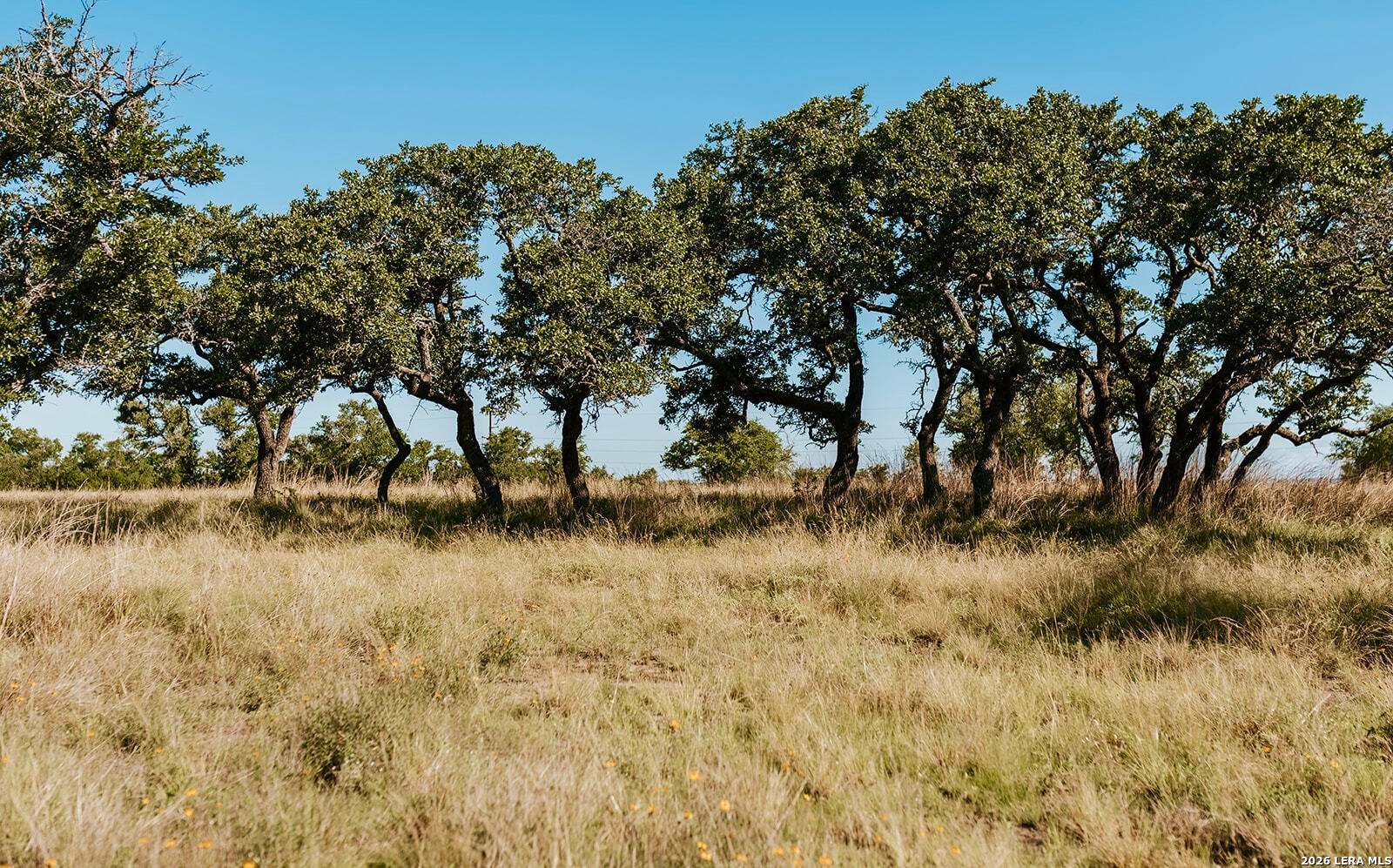 Tbd Brecken Ranch Road Stonewall, TX 78671 - Photo 4 of 20 Gallery Image 4