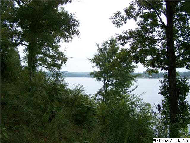 Boat Ramp Trail, Unit 109 Sylacauga, AL 35150 - Photo 6 of 6