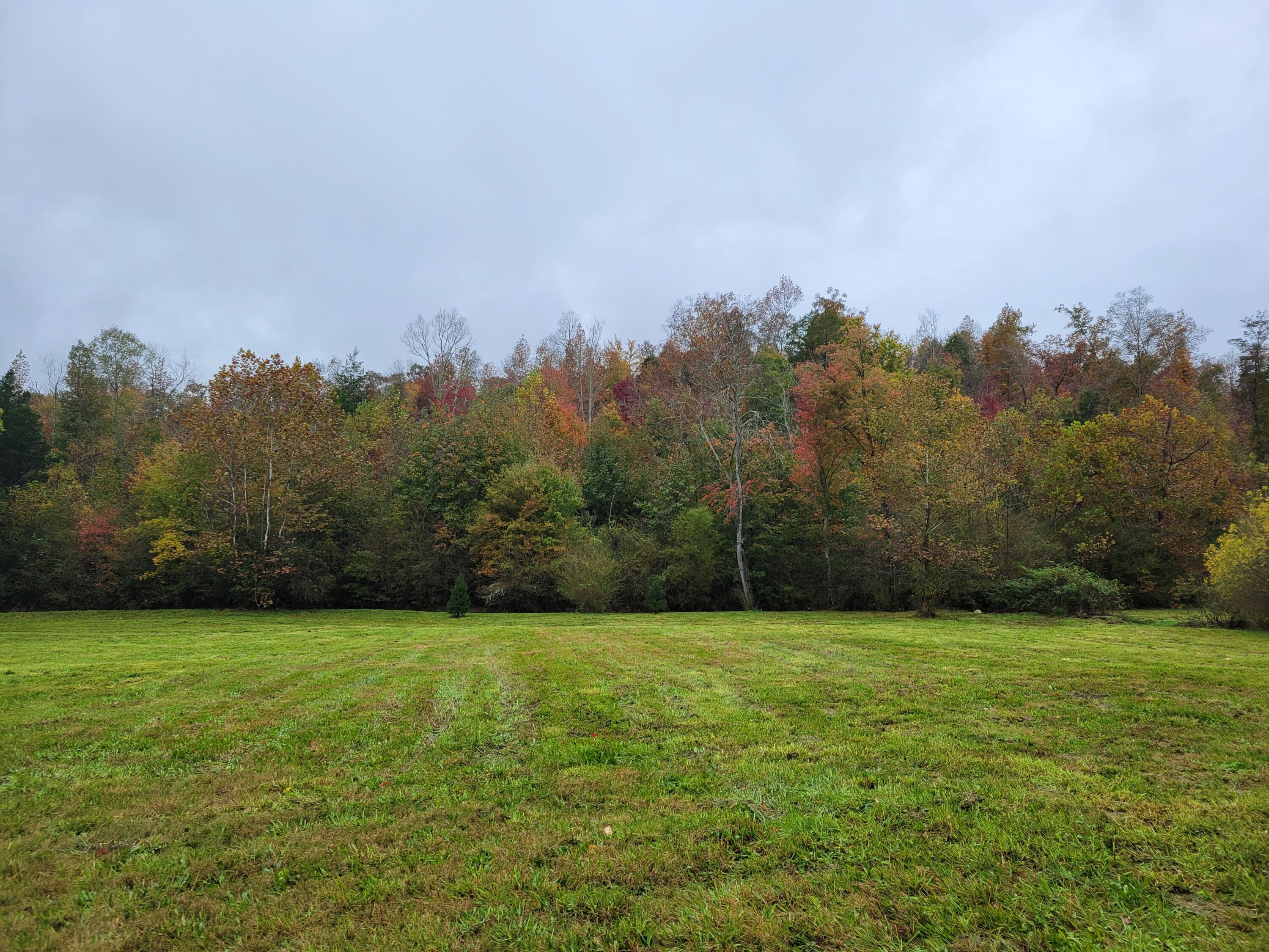 6500 Grasshopper Road Birchwood, TN 37308 - Photo 2 of 6 Photo 2