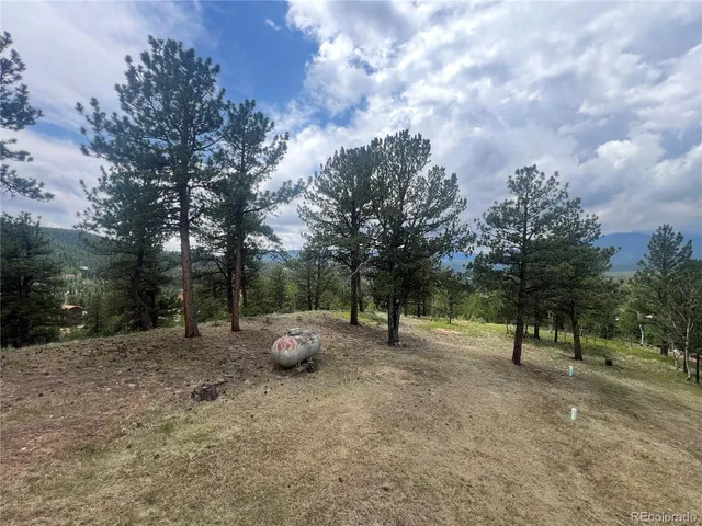 $295,000 | 95 Appleby Street, Bailey, CO 80421