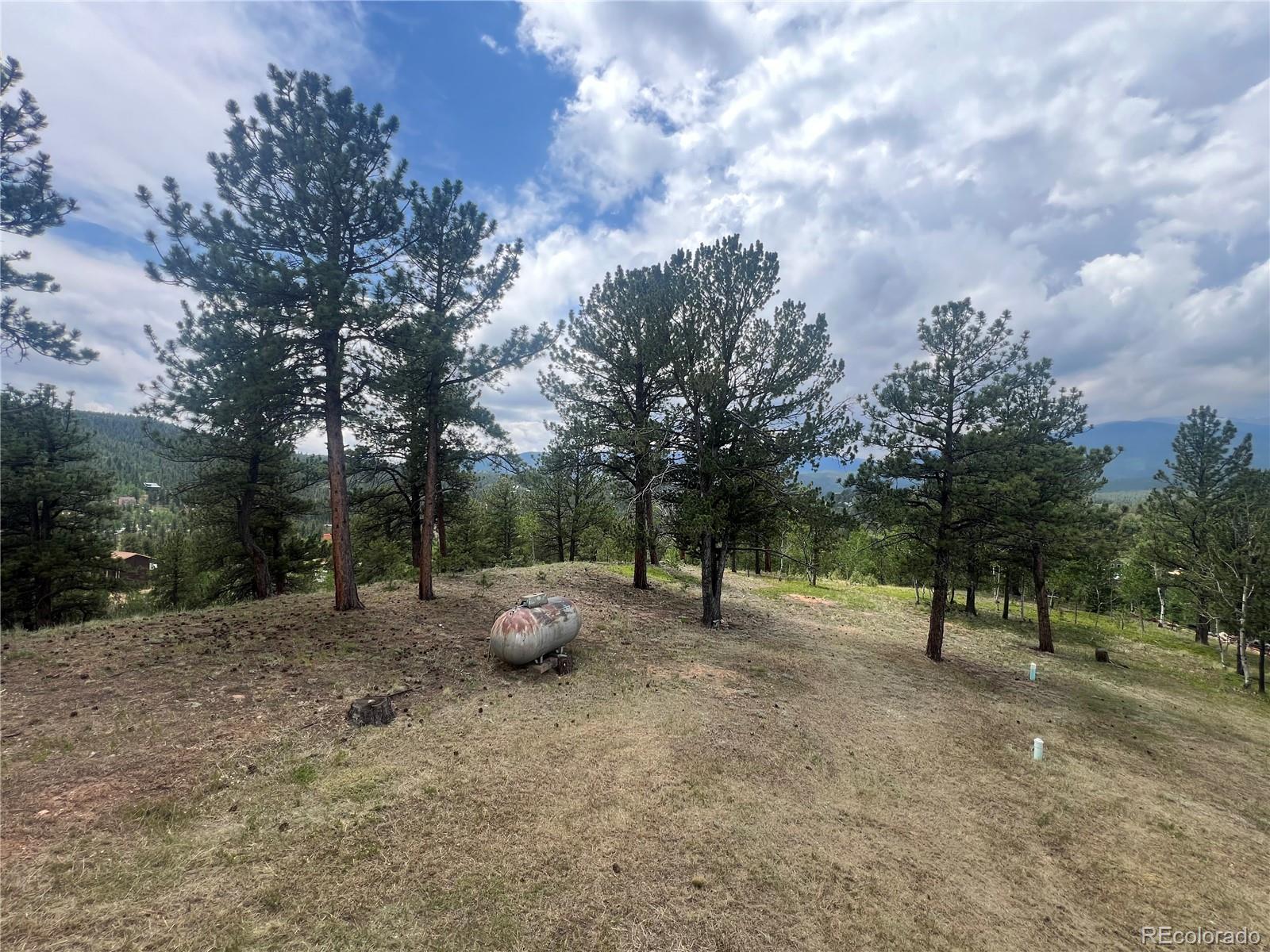 95 Appleby Street Bailey, CO 80421 - Photo 18 of 36