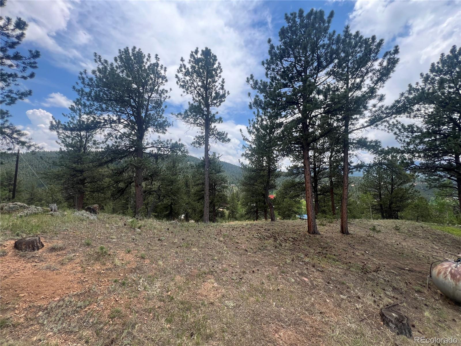 95 Appleby Street Bailey, CO 80421 - Photo 19 of 36 a view of outdoor space with trees