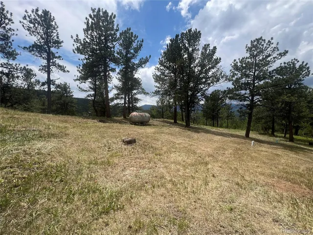 $295,000 | 95 Appleby Street, Bailey, CO 80421