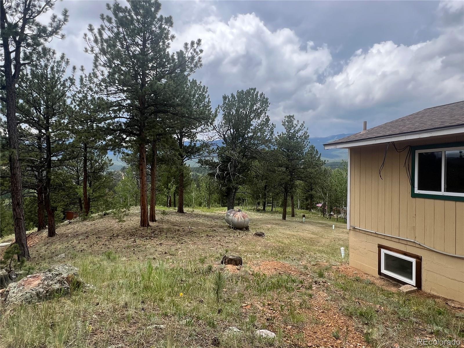 95 Appleby Street Bailey, CO 80421 - Photo 22 of 36 a backyard of a house with lots of trees