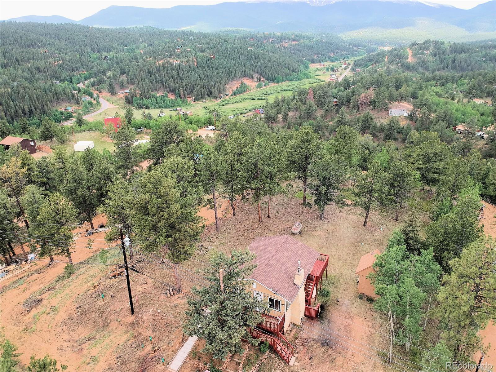 95 Appleby Street Bailey, CO 80421 - Photo 24 of 36 a view of a forest with a mountain