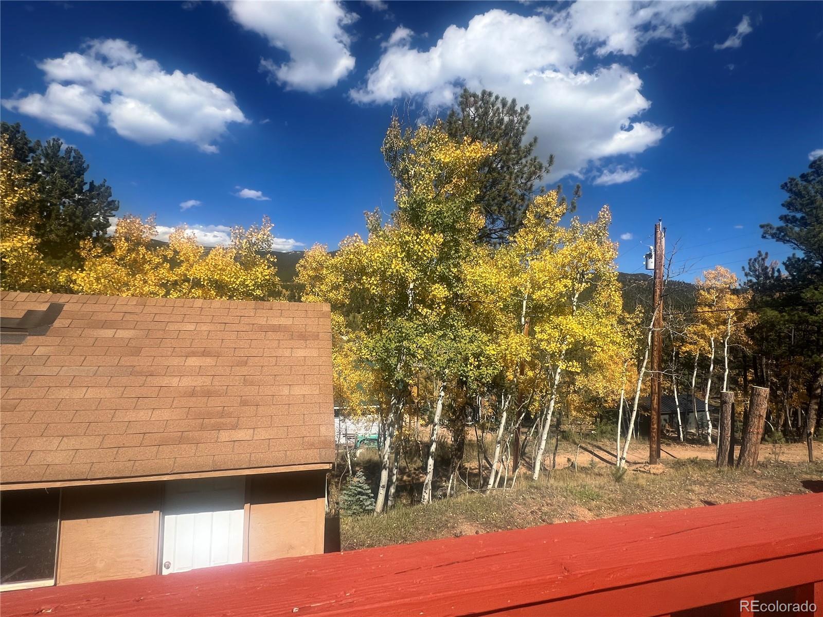 95 Appleby Street Bailey, CO 80421 - Photo 27 of 36 a view of a yard