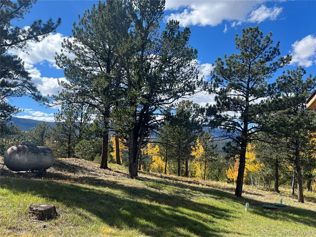 $295,000 | 95 Appleby Street, Bailey, CO 80421