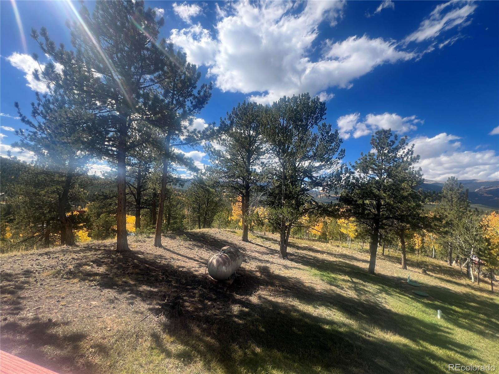 95 Appleby Street Bailey, CO 80421 - Photo 32 of 36 a view of road with trees