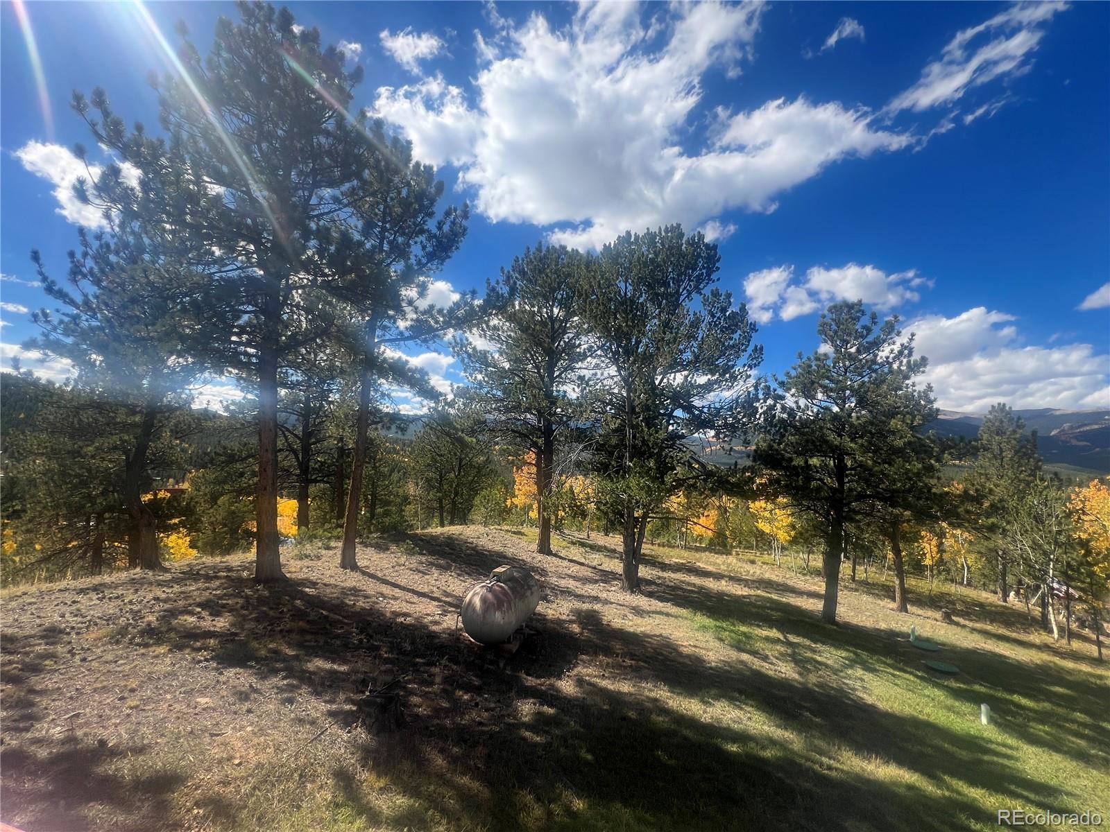 95 Appleby Street Bailey, CO 80421 - Photo 33 of 36 a view of road with trees