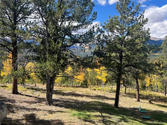 $295,000 | 95 Appleby Street, Bailey, CO 80421