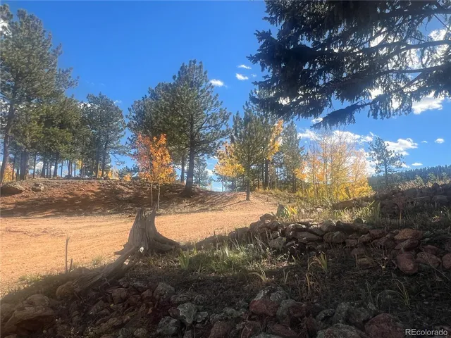 $295,000 | 95 Appleby Street, Bailey, CO 80421
