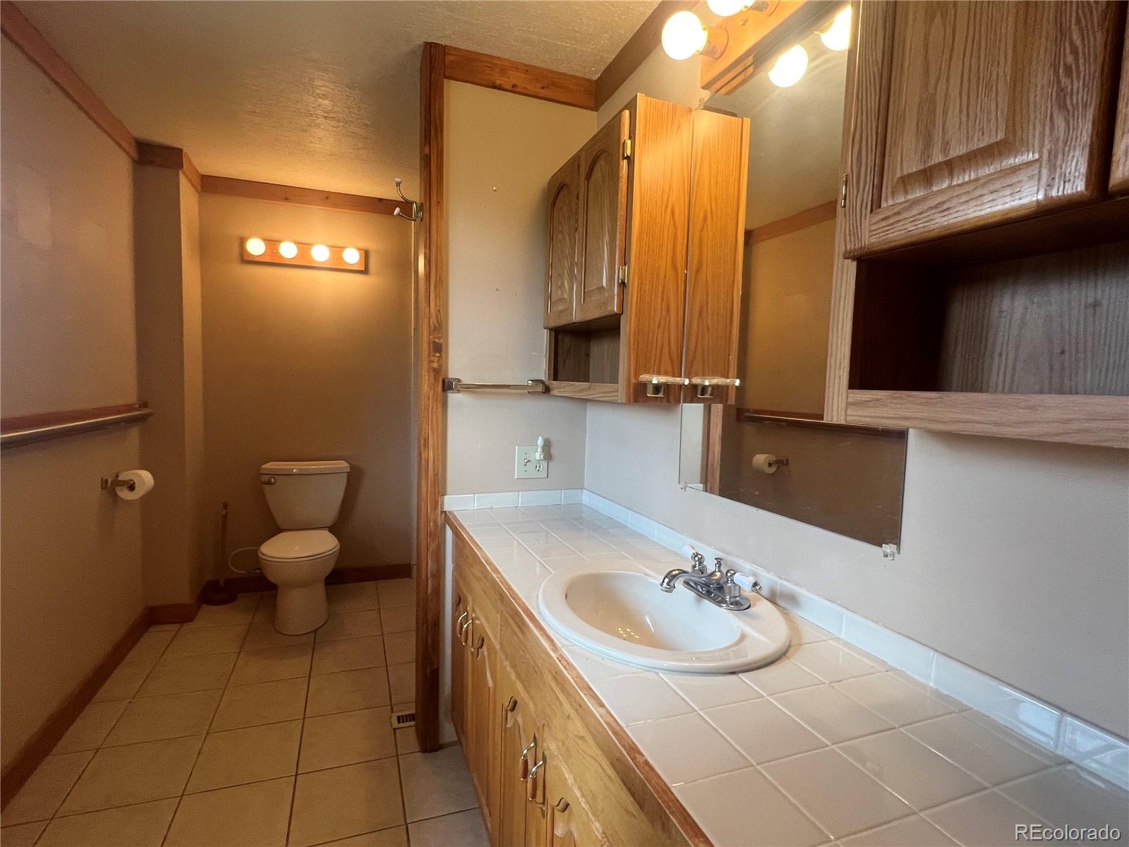 95 Appleby Street Bailey, CO 80421 - Photo 9 of 36 a bathroom with a sink and toilet