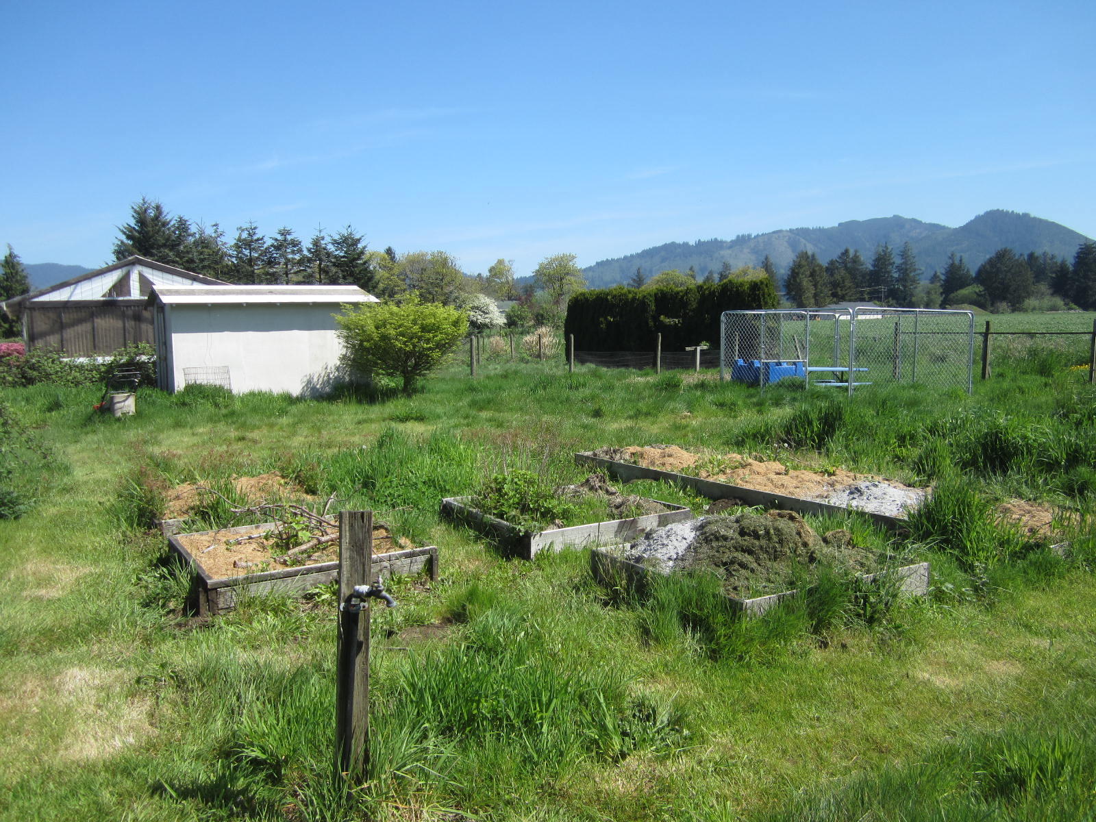 4255 Brickyard Road Tillamook, OR 97141 - Photo 26 of 27 Garden area