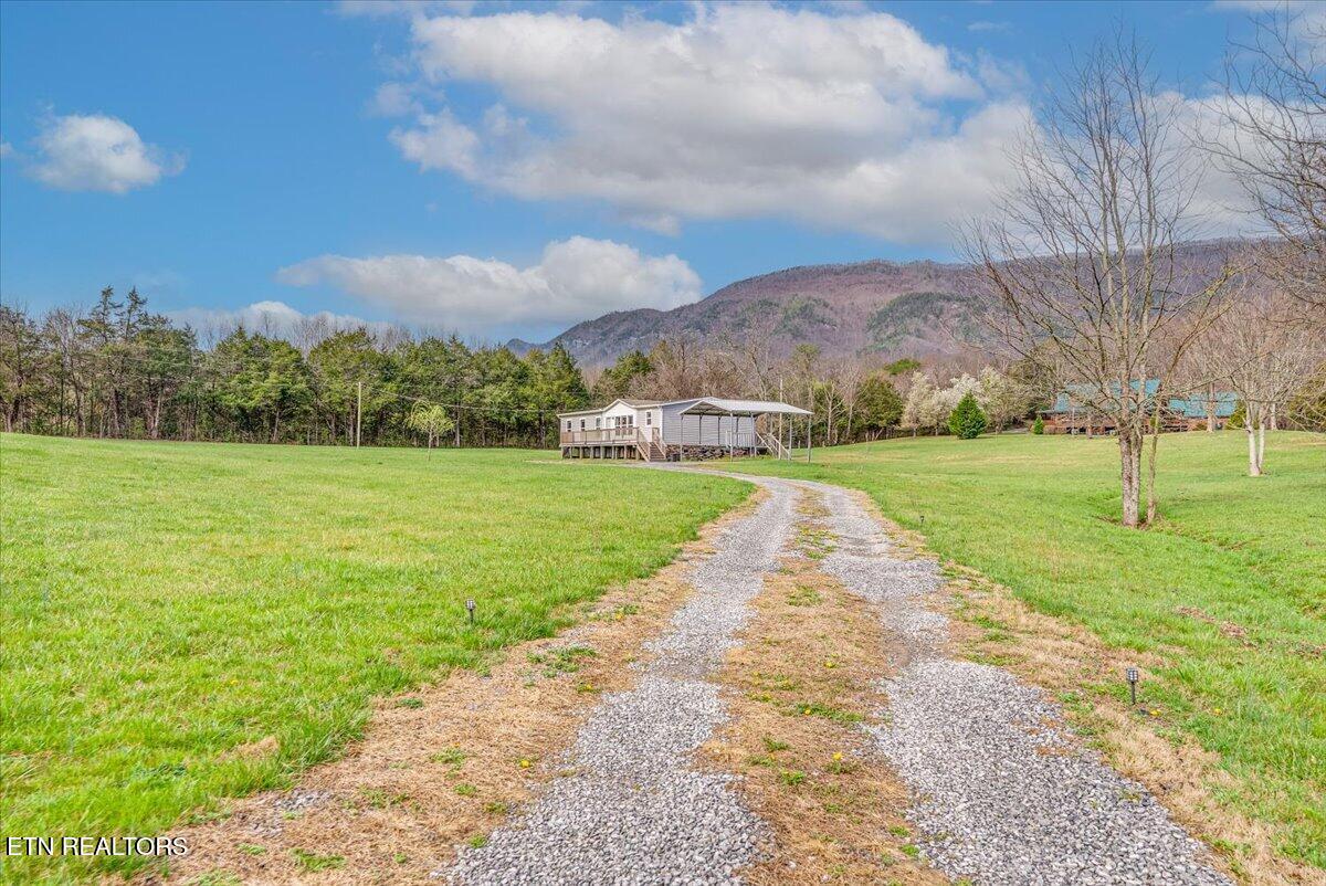 590 McGaha Chapel Road Cosby, TN 37722 - Photo 40 of 45 40-Far A1