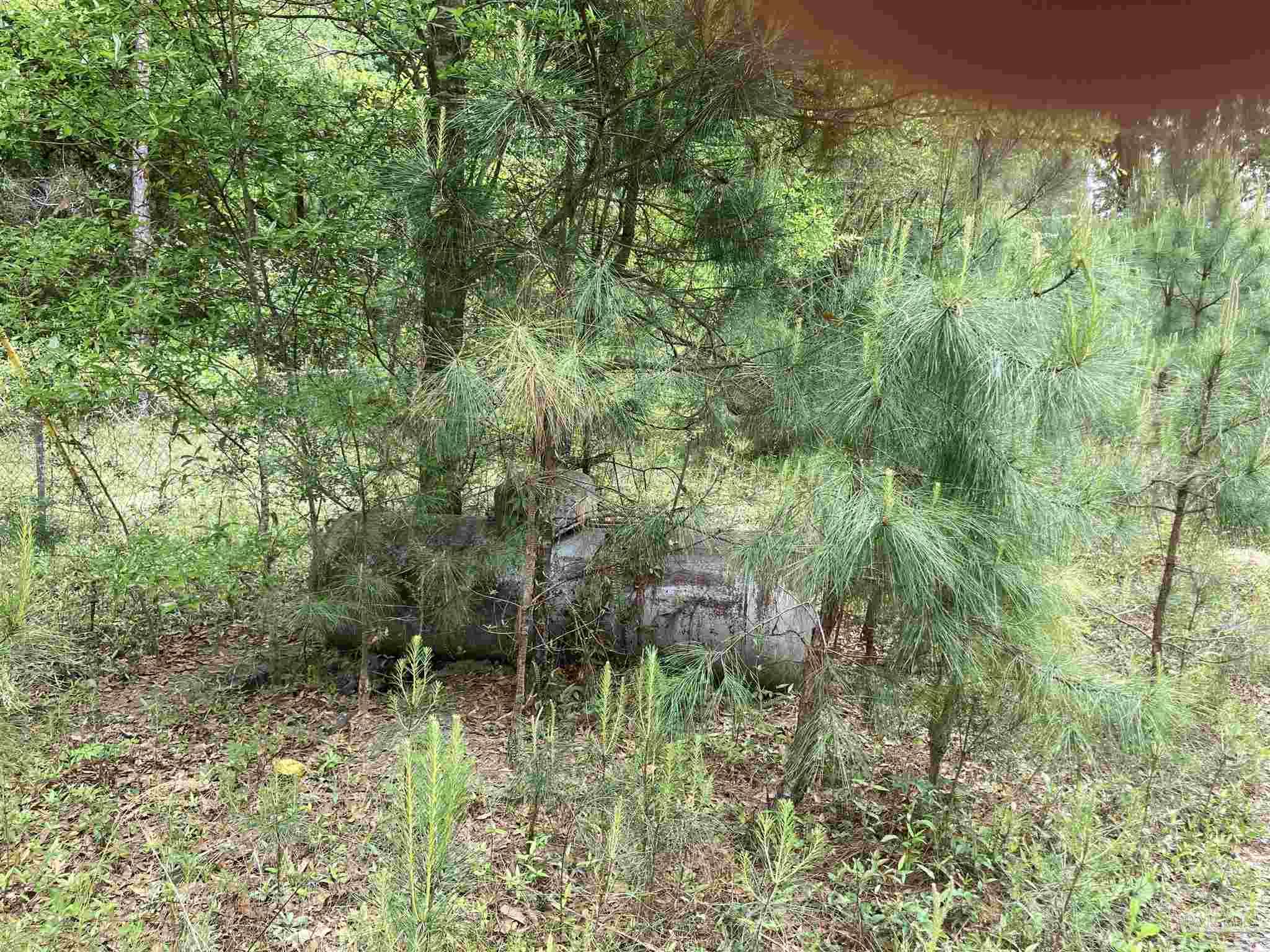 2527 Camors Road Jay, FL 32565 - Photo 13 of 19 Gallery Image 13