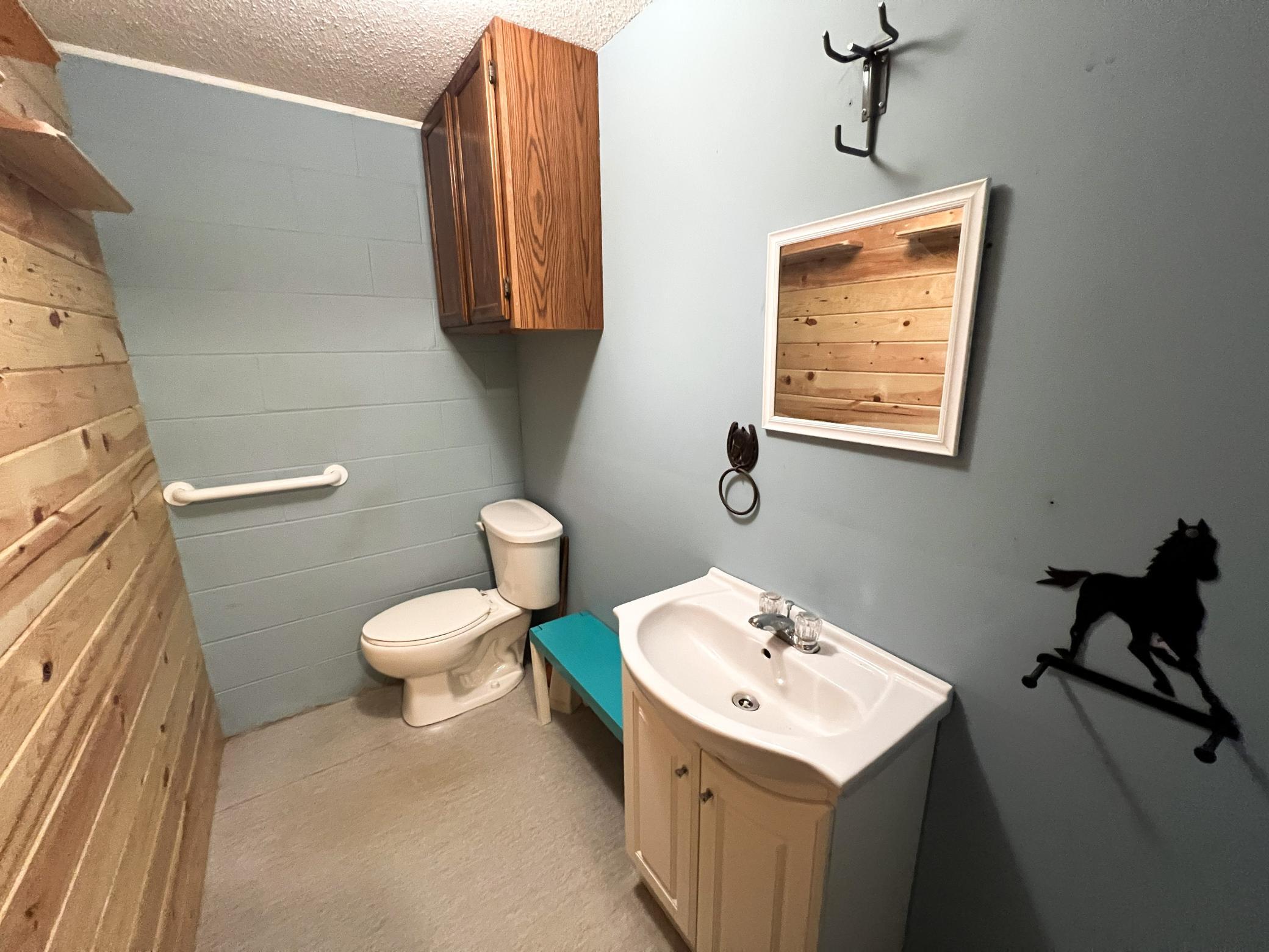 1559 Stone Lake Road Southwest Bemidji, MN 56601 - Photo 51 of 76