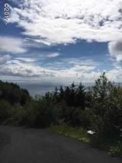 Tl#5500 Horizon Hill Road Yachats, OR 97498 - Photo 1 of 1 IMG_2656