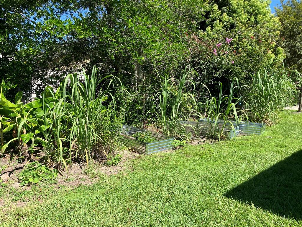 3834 Charter Road Lakeland, FL 33810 - Photo 34 of 39 a view of a yard