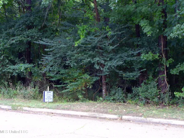 $90,000 | Woodbridge Drive, Madison, MS 39110