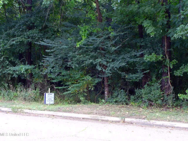 $90,000 | Woodbridge Drive, Madison, MS 39110