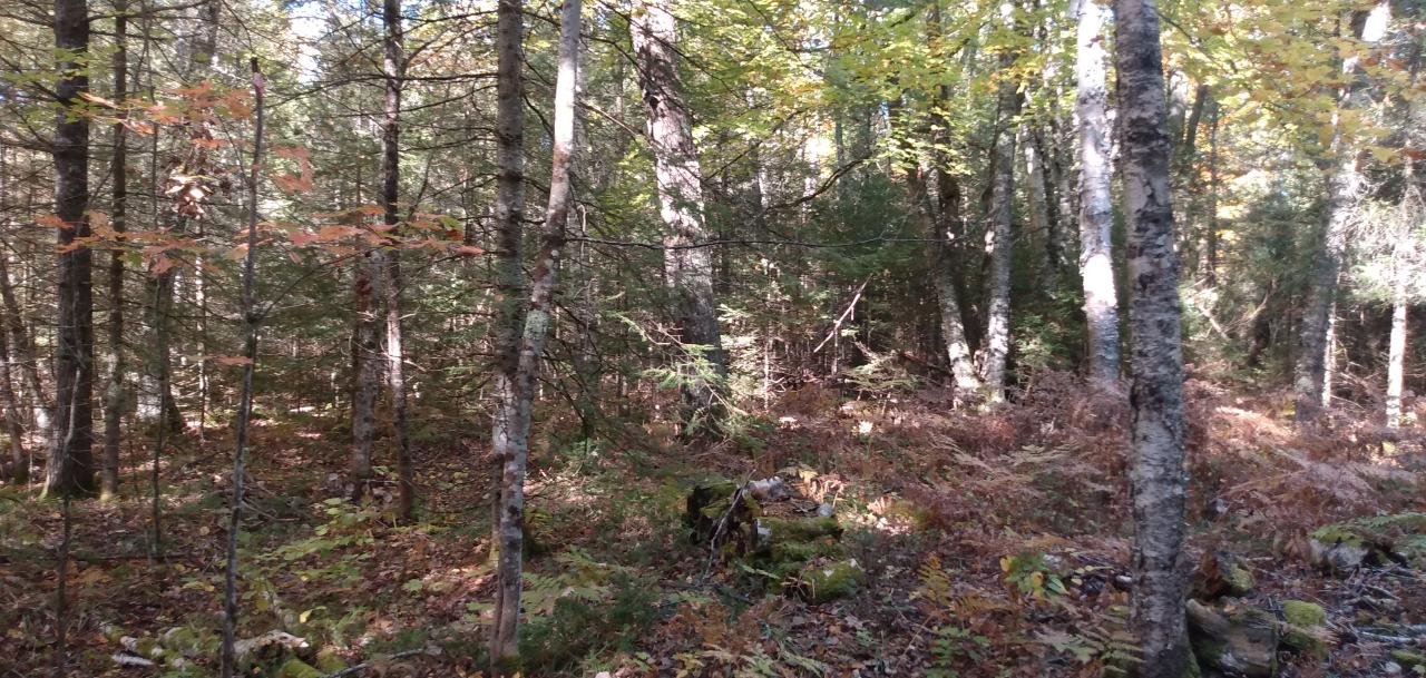 On Moonshine Valley Road Presque Isle, WI 54557 - Photo 11 of 20 Gallery Image 11