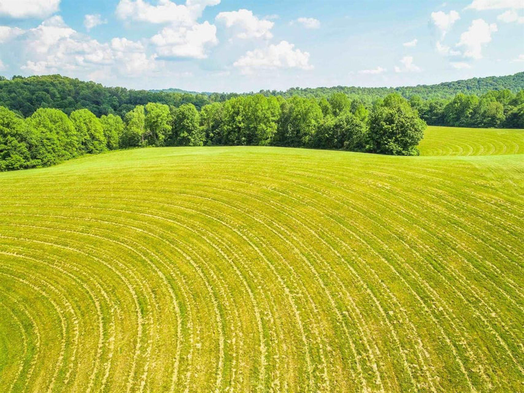 1640 Clear Branch Road Liberty, KY 42539 - Photo 96 of 135 20200917165213890800000000-o