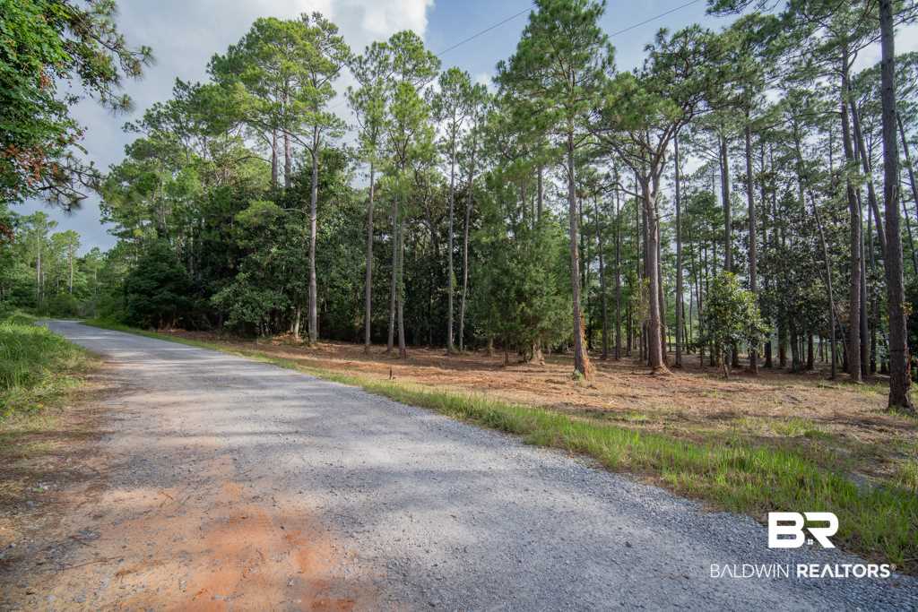 4 South Bayou Drive Elberta, AL 36530 - Photo 17 of 23