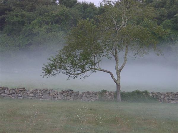 322 Smith Neck Road Dartmouth, MA 02748 - Photo 13 of 22