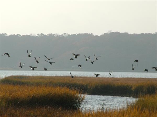 322 Smith Neck Road Dartmouth, MA 02748 - Photo 16 of 22