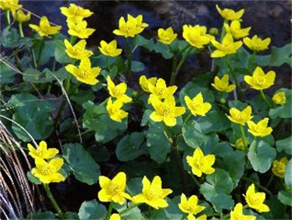 322 Smith Neck Road Dartmouth, MA 02748 - Photo 22 of 22