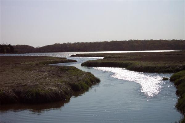 322 Smith Neck Road Dartmouth, MA 02748 - Photo 3 of 22