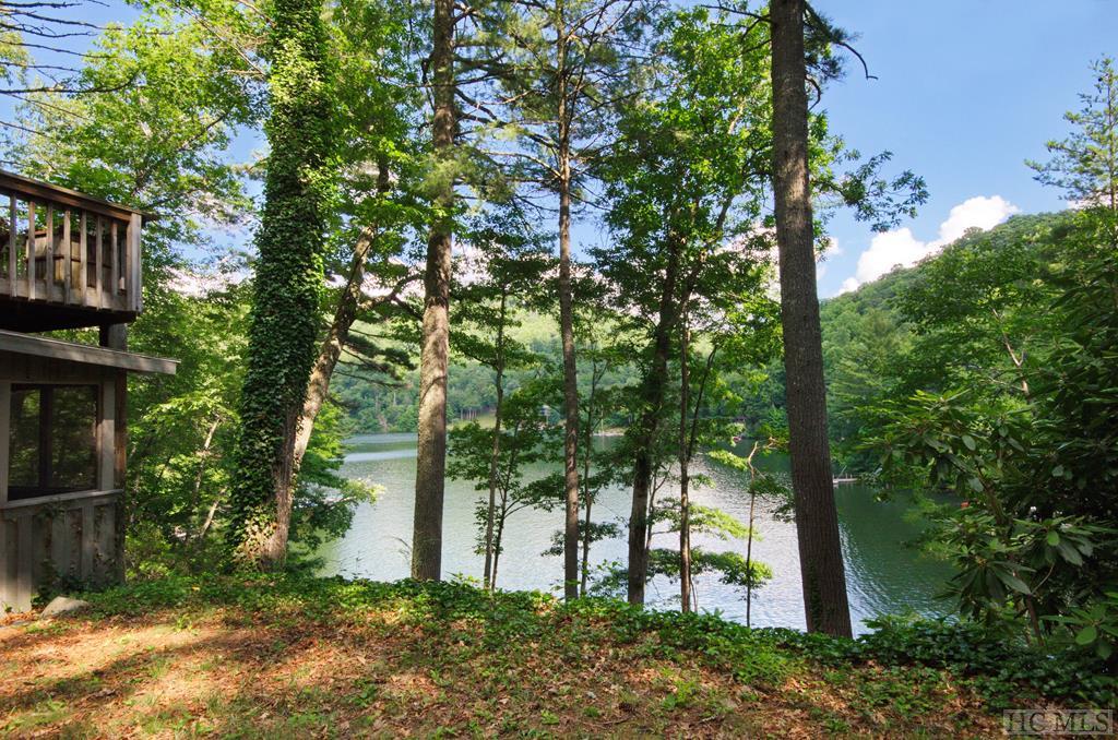 306 Falls Cove Road Cullowhee, NC 28723 - Photo 23 of 24 Gallery Image 23